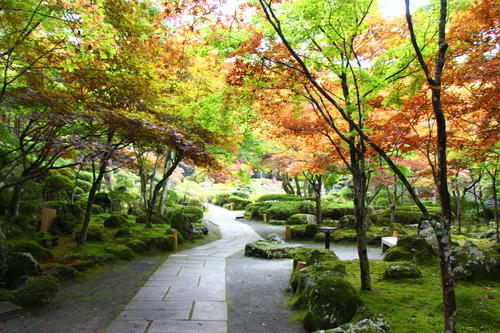 20251021teien (16).JPG