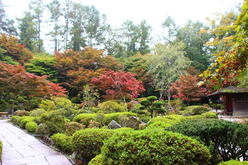 20251021teien (17).JPG