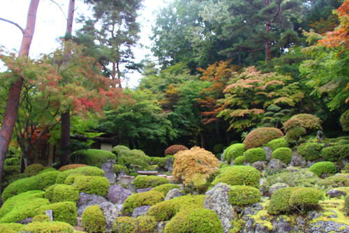 20251021teien (18).JPG