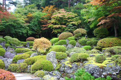 20251021teien (19).JPG