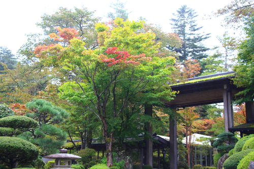 20251021teien (2).JPG