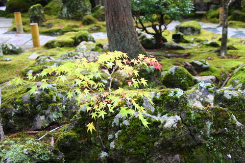 20251021teien (20).JPG