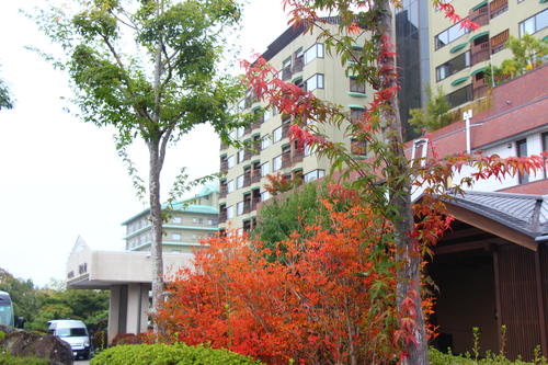 20251021teien (23).JPG