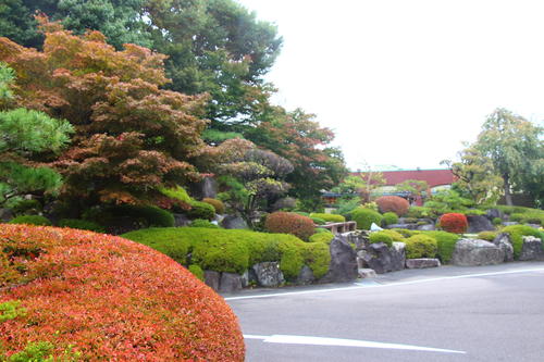 20251021teien (24).JPG