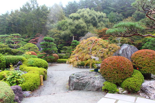 20251021teien (4).JPG