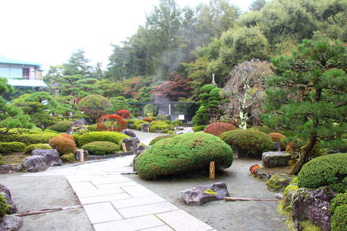 20251021teien (5).JPG