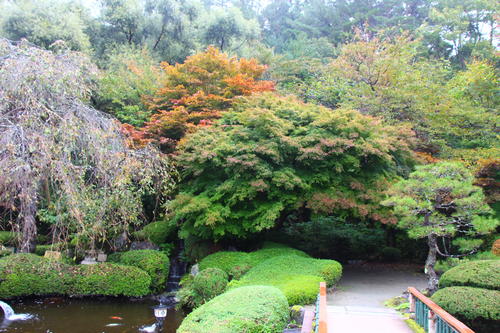 20251021teien (7).JPG