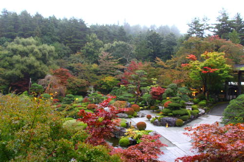 20251025teien (1).JPG