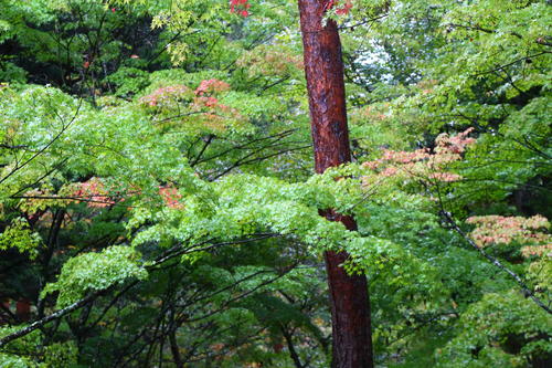 20251025teien (10).JPG