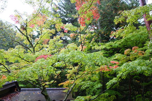 20251025teien (11).JPG