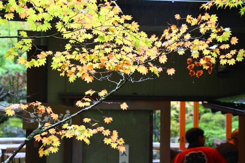 20251025teien (12).JPG