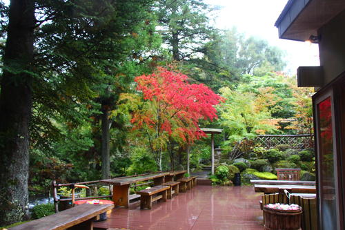 20251025teien (13).JPG