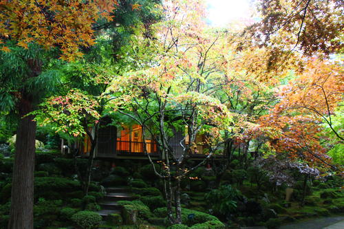 20251025teien (14).JPG