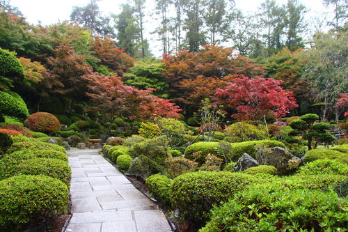 20251025teien (15).JPG