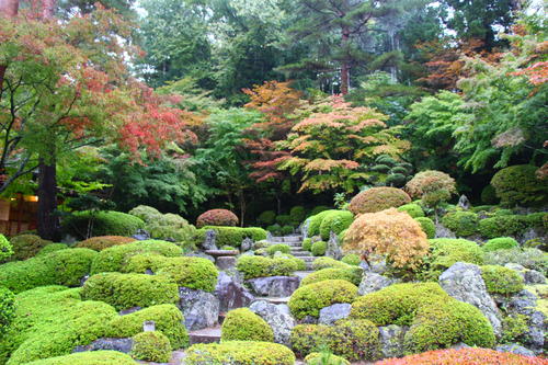 20251025teien (16).JPG