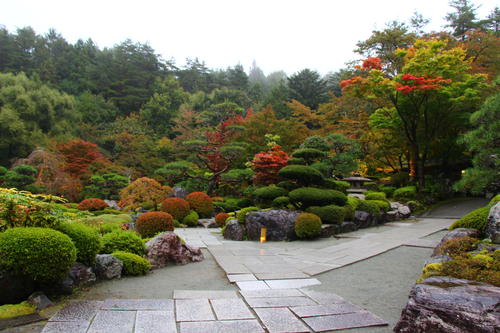 20251025teien (2).JPG