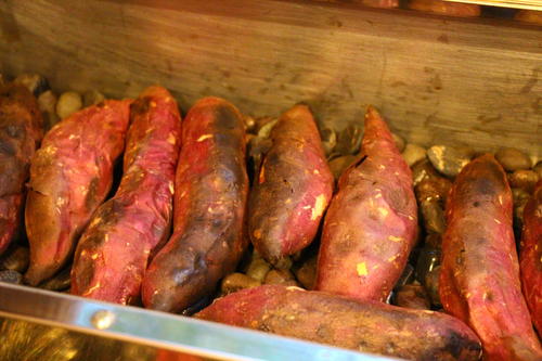 20251025teien (20).JPG