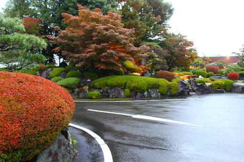 20251025teien (21).JPG