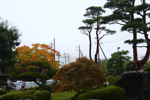 20251025teien (22).JPG