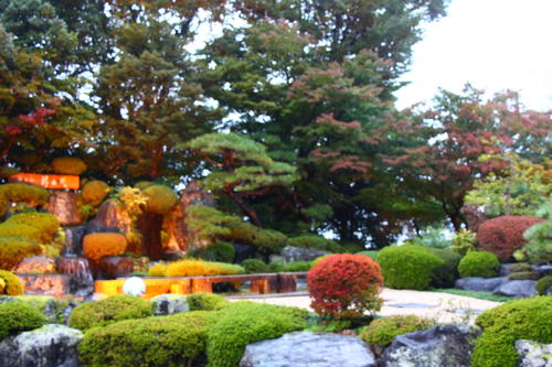 20251025teien (23).JPG