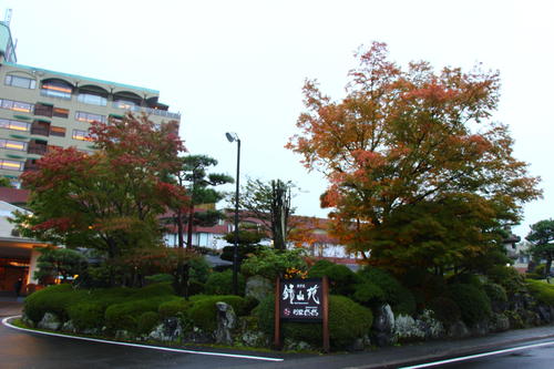 20251025teien (24).JPG