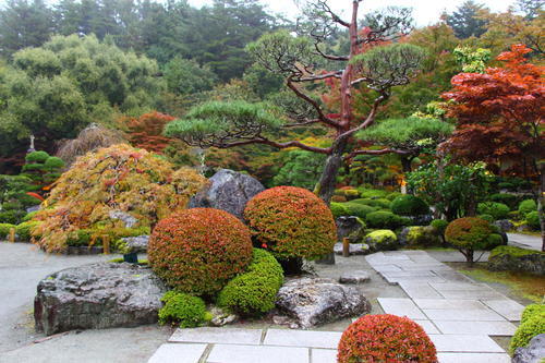 20251025teien (4).JPG