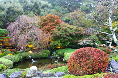 20251025teien (5).JPG