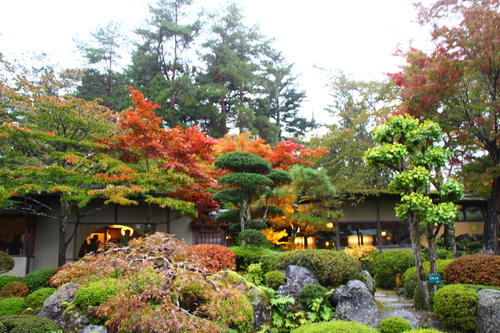 20251025teien (6).JPG