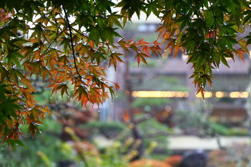 20251025teien (8).JPG