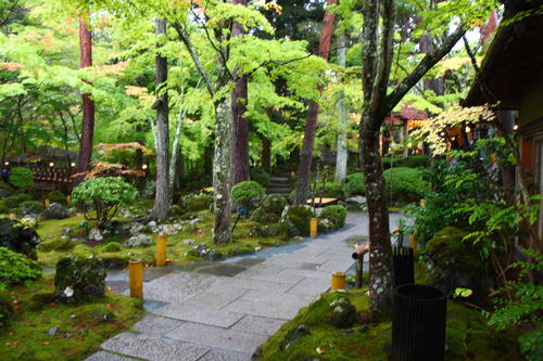 20251025teien (9).JPG