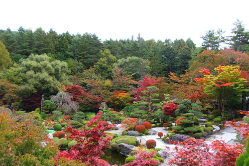 20251031teien (1).JPG