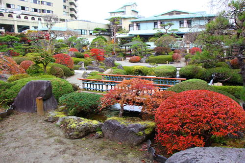 20251031teien (10).JPG