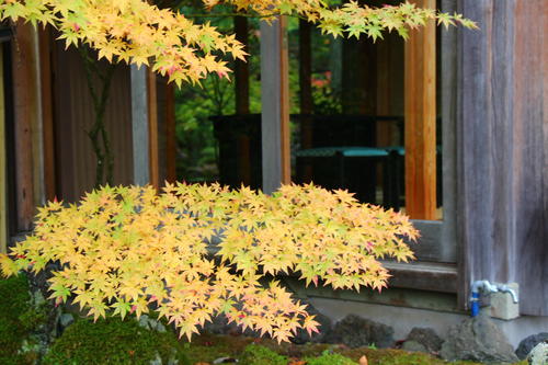 20251031teien (11).JPG