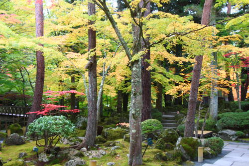 20251031teien (12).JPG