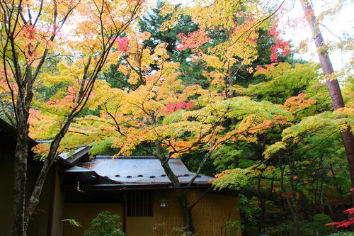 20251031teien (13).JPG