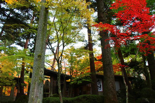 20251031teien (15).JPG