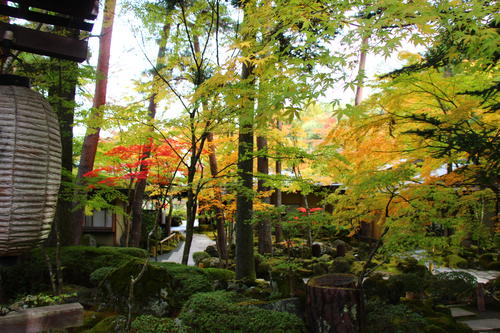 20251031teien (16).JPG