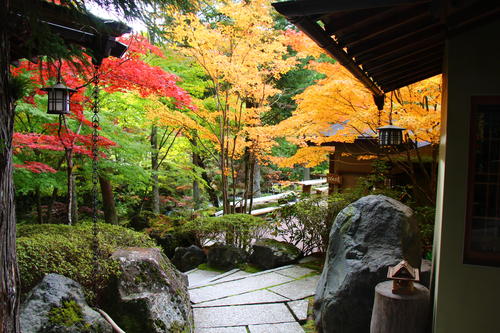 20251031teien (17).JPG