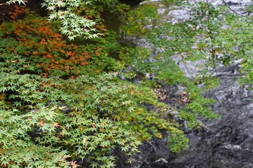 20251031teien (19).JPG