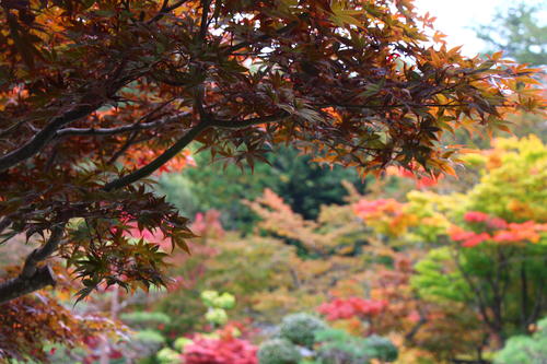 20251031teien (2).JPG