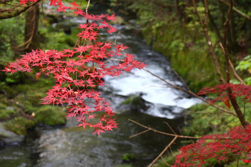 20251031teien (20).JPG