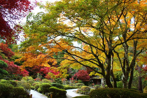 20251031teien (21).JPG