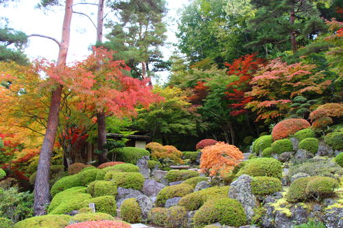 20251031teien (22).JPG