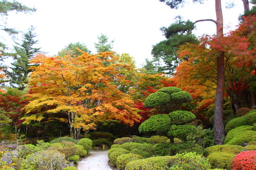 20251031teien (23).JPG