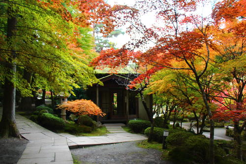 20251031teien (24).JPG