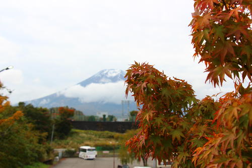 20251031teien (25).JPG