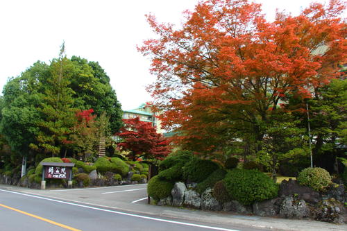 20251031teien (26).JPG