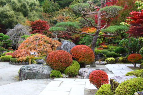 20251031teien (3).JPG