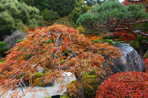 20251031teien (4).JPG