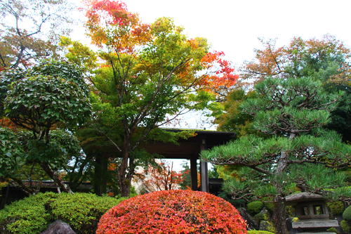 20251031teien (5).JPG